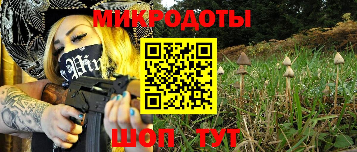 Приморско-Ахтарск  Псилоцибиновые грибы ЛСД  Вход с VPN  сколько стоит  Галлюциногенные грибы MAGIC MUSHROOMS 